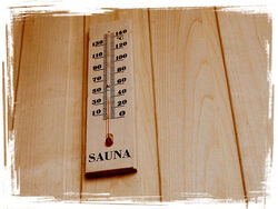 Sauna meine Oase Saunen 004